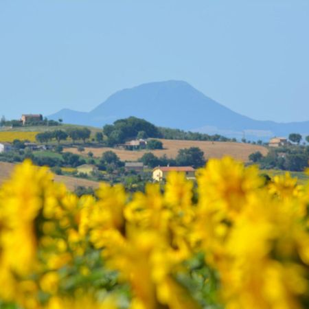Casale Dei Cinque Colli Villa Ostra Eksteriør billede