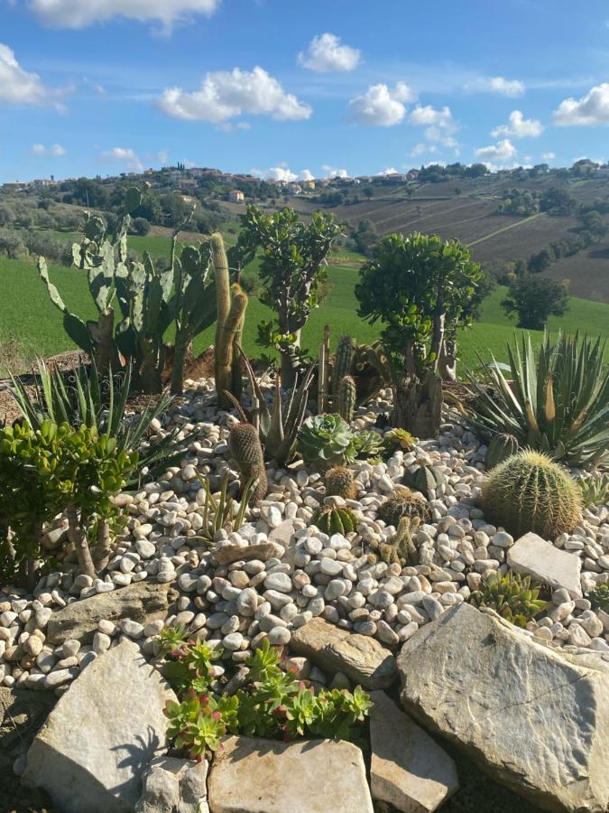 Casale Dei Cinque Colli Villa Ostra Eksteriør billede